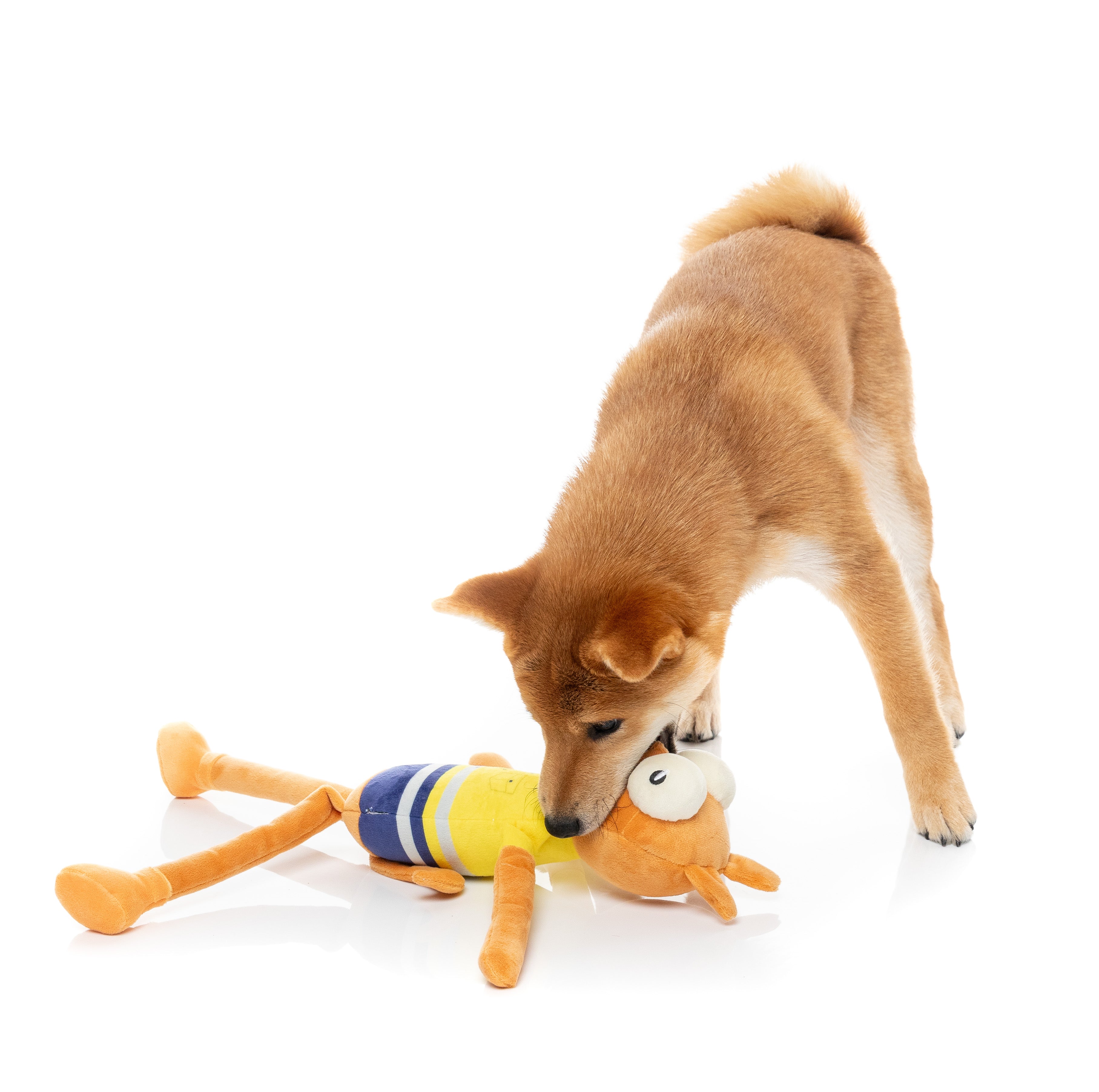 Dog Toy - Haz The Roo-Fer