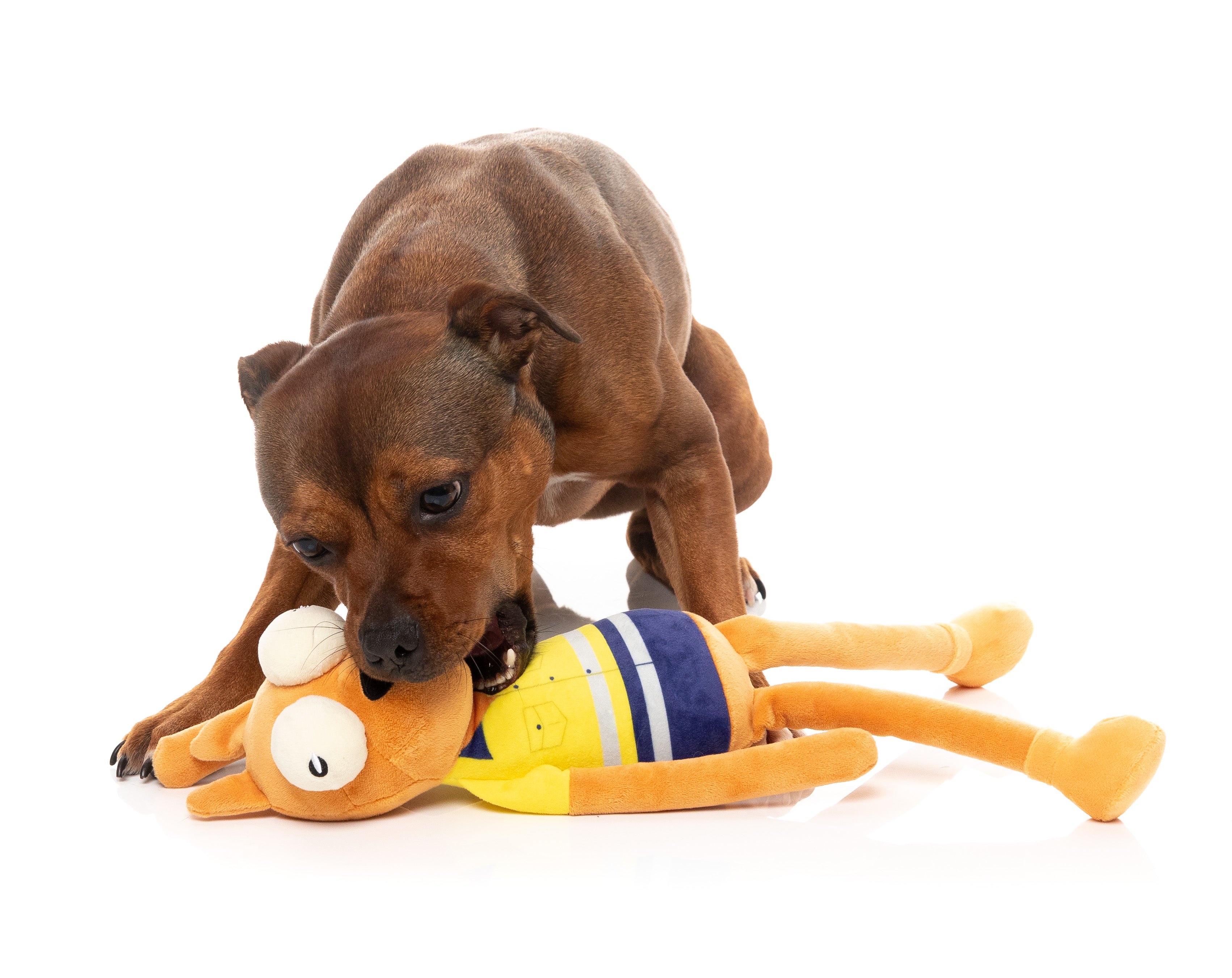 Dog Toy - Haz The Roo-Fer