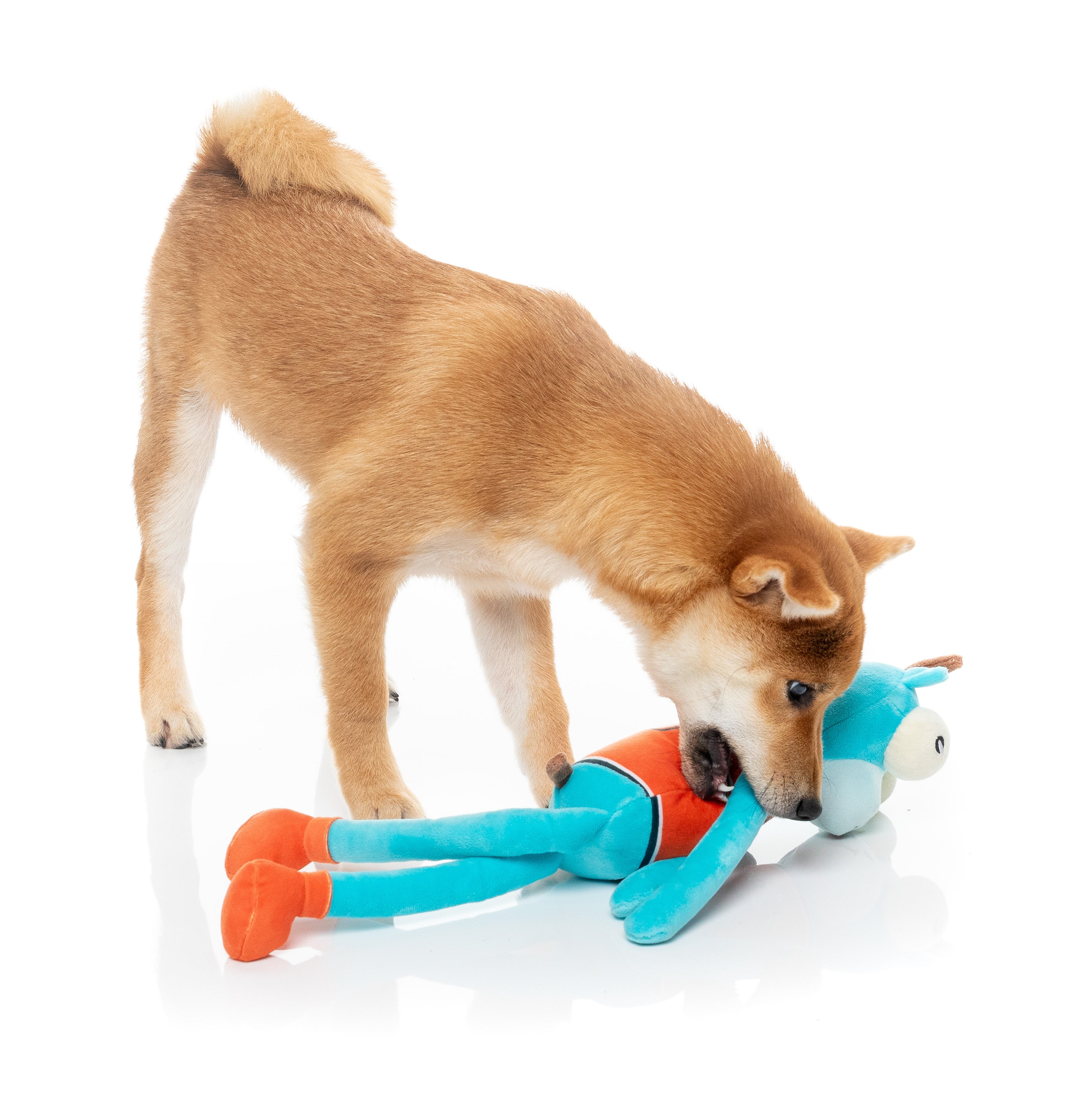 Dog Toy - Bron The G.O.A.T