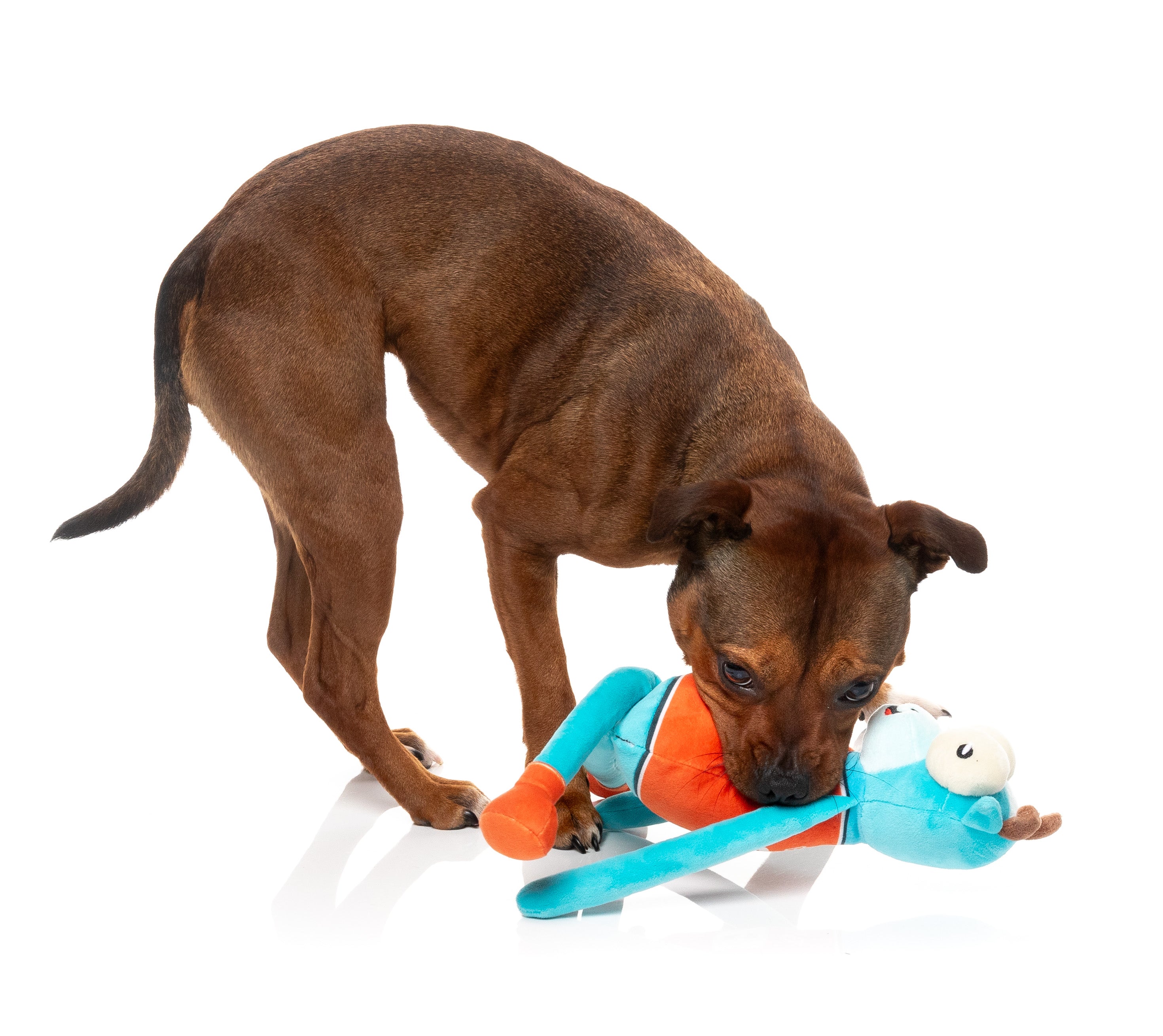 Dog Toy - Bron The G.O.A.T