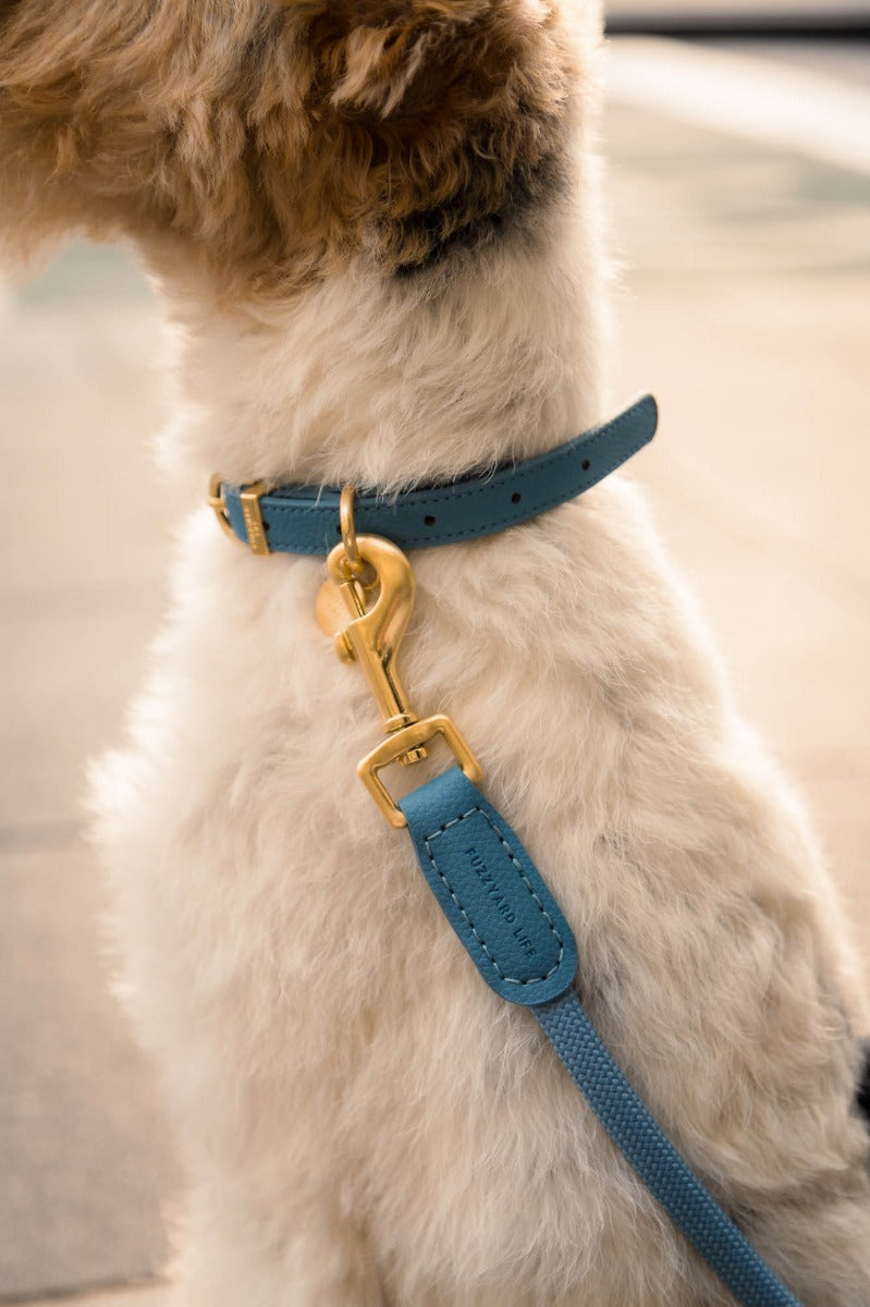 FuzzYard Life Atelier Dog Rope Lead - French Blue