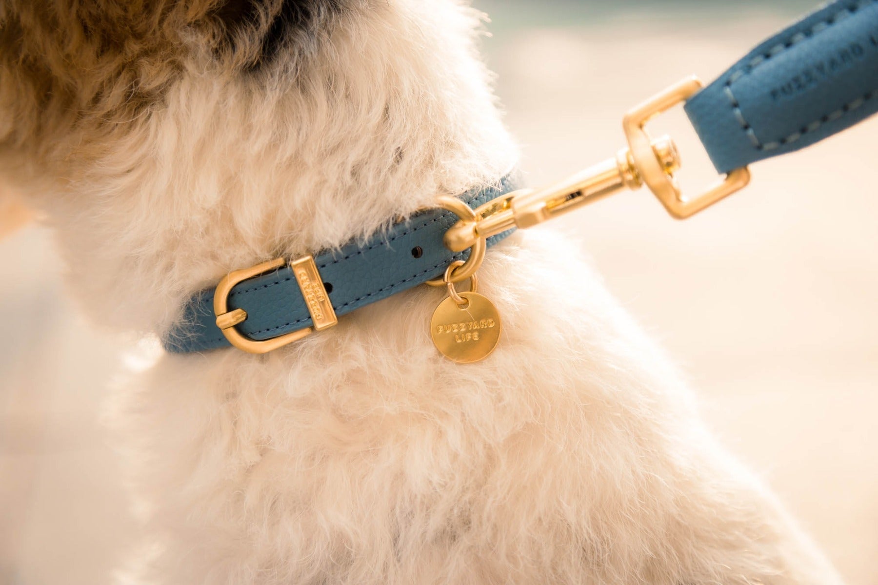 FuzzYard Life Atelier Dog Collar - French Blue