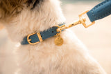 FuzzYard Life Atelier Dog Collar - French Blue