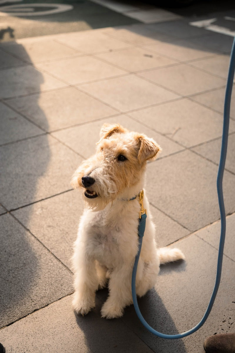 FuzzYard Life Atelier Dog Rope Lead - French Blue