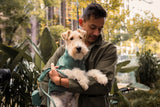 FuzzYard Life Ribbed Sweater - Myrtle Green