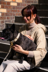FuzzYard Life Atelier Dog Collar - Sandstone