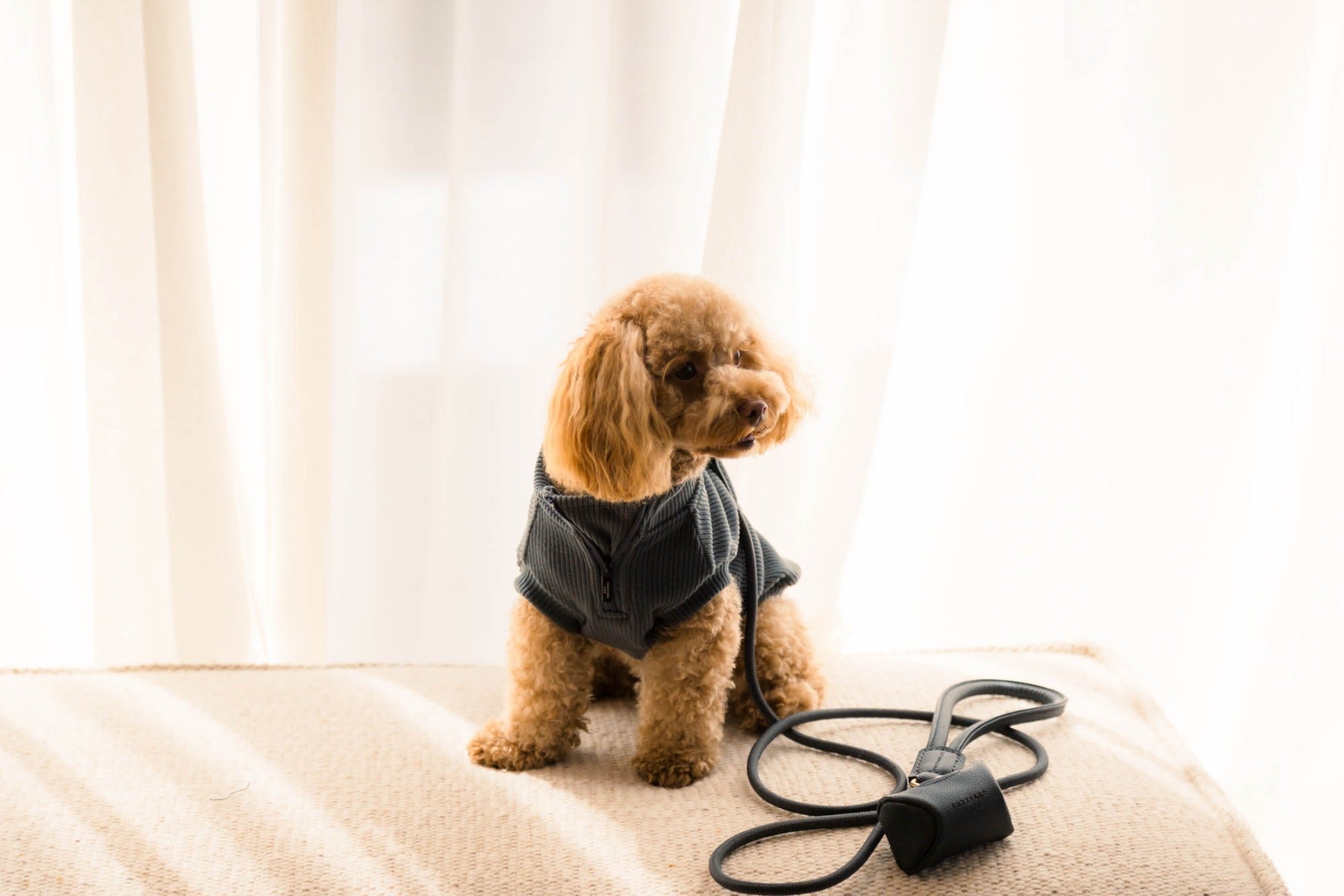 FuzzYard Life Atelier Dog Collar - Slate Grey