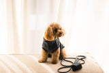FuzzYard Life Atelier Dog Collar - Slate Grey