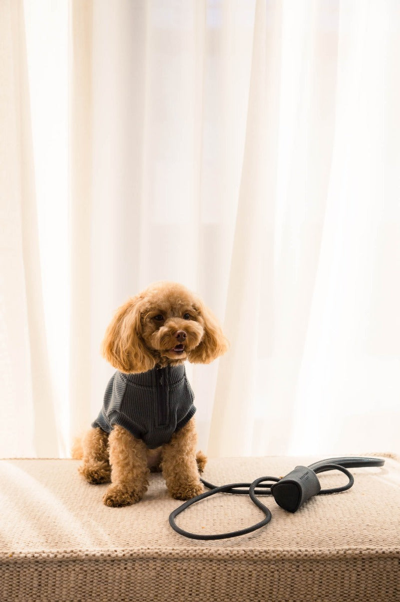 FuzzYard Life Atelier Dog Collar - Slate Grey
