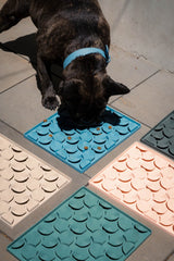 FuzzYard Life Hide & Treat Mat - Myrtle Green