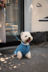 FuzzYard Life Atelier Dog Collar - French Blue