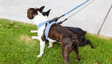 FuzzYard Life Step In Harness - French Blue