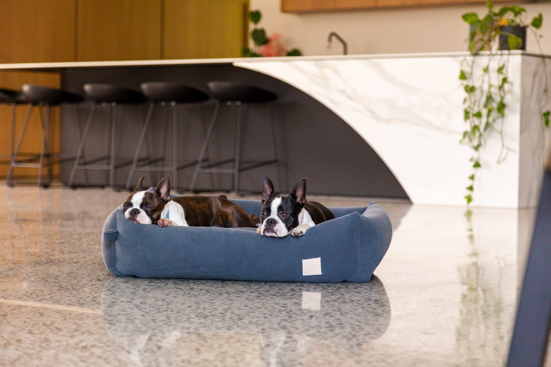 FuzzYard Life pet Bed - Corduroy Bed - Slate Grey