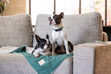 Pet Blanket - Myrtle Green - FuzzYard Life