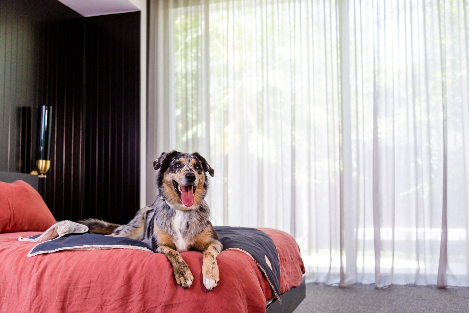 Pet Blanket - Slate Grey - FuzzYard Life