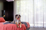 Pet Blanket - Slate Grey - FuzzYard Life