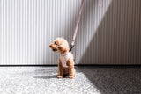 FuzzYard Life Harness - Soft Blush