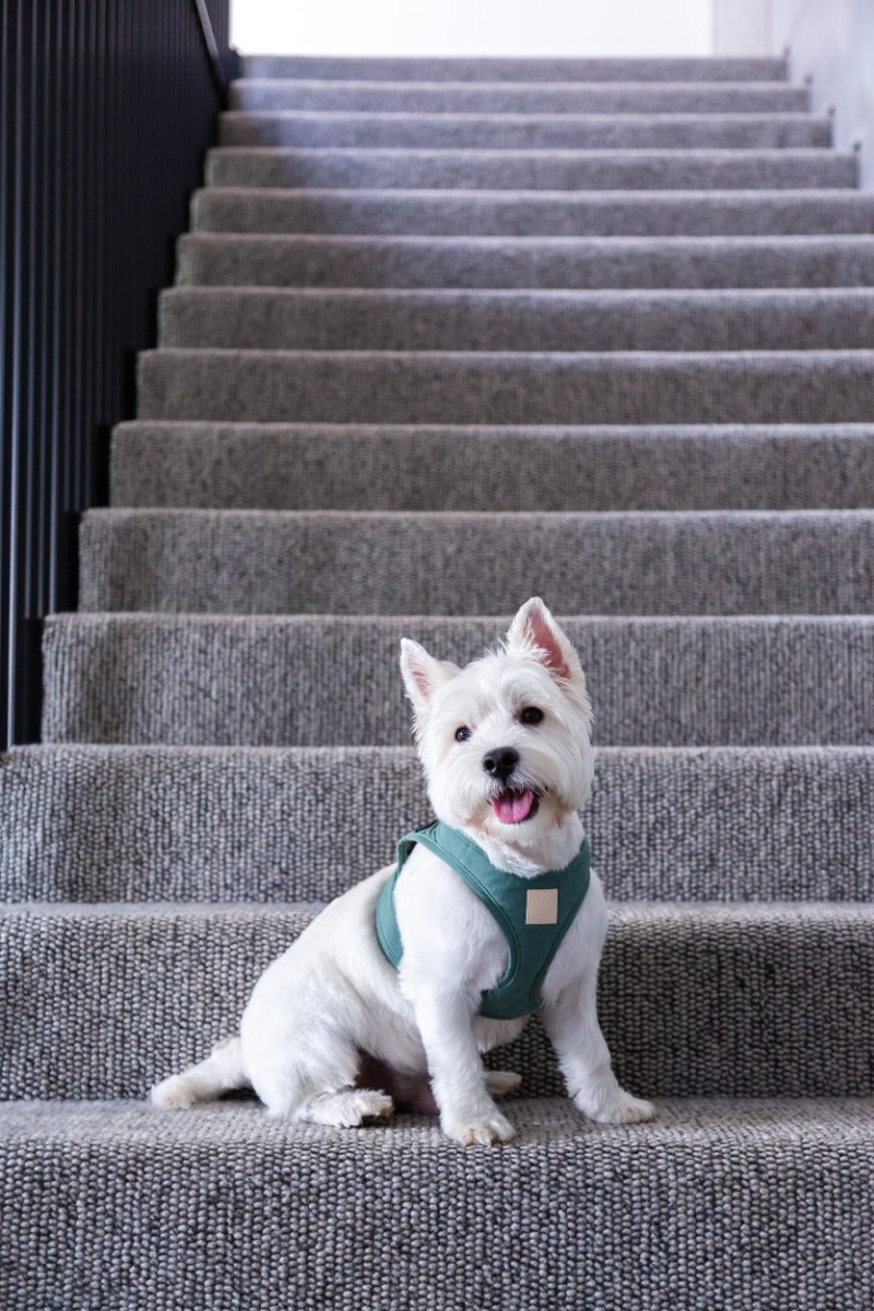 FuzzYard Life Step In Harness - Myrtle Green