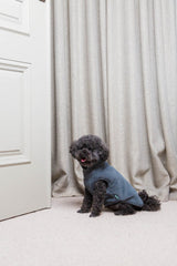 FuzzYard Life Corduroy Jacket - Slate Grey by FuzzYard Life