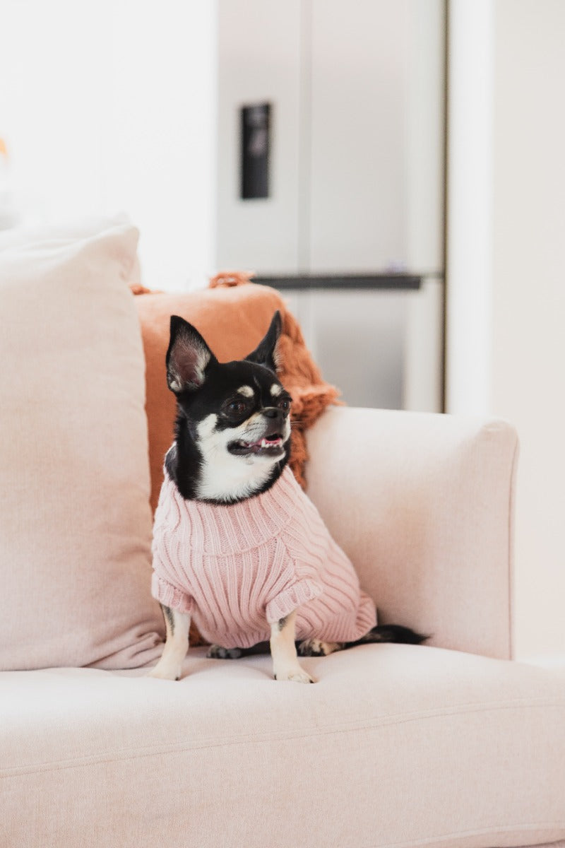 FuzzYard Life Knitted Sweater - Soft Blush