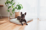 FuzzYard Life Lounge Mat - Sandstone