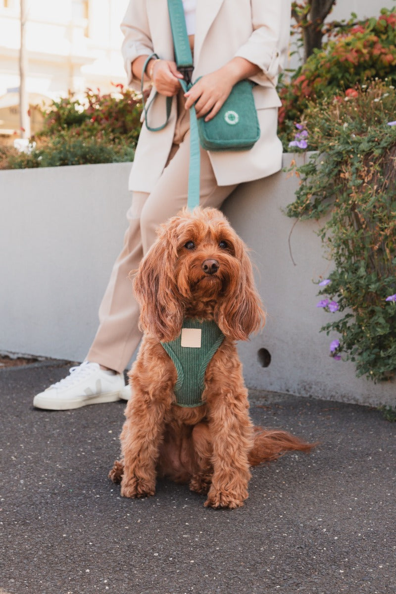 FuzzYard Life Cross Body Bag - Myrtle Green