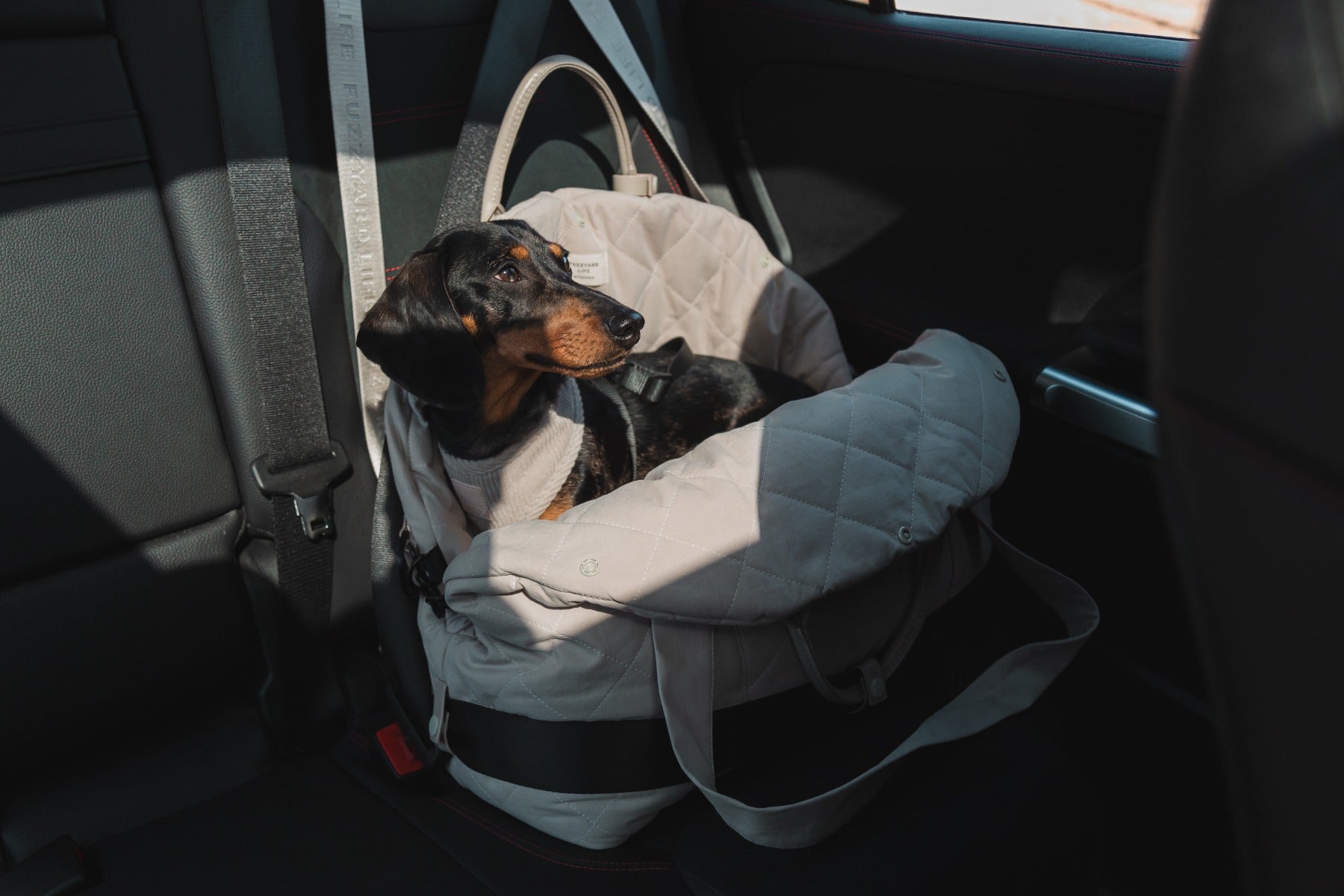 FuzzYard Life Multipurpose Carrier & Car Seat