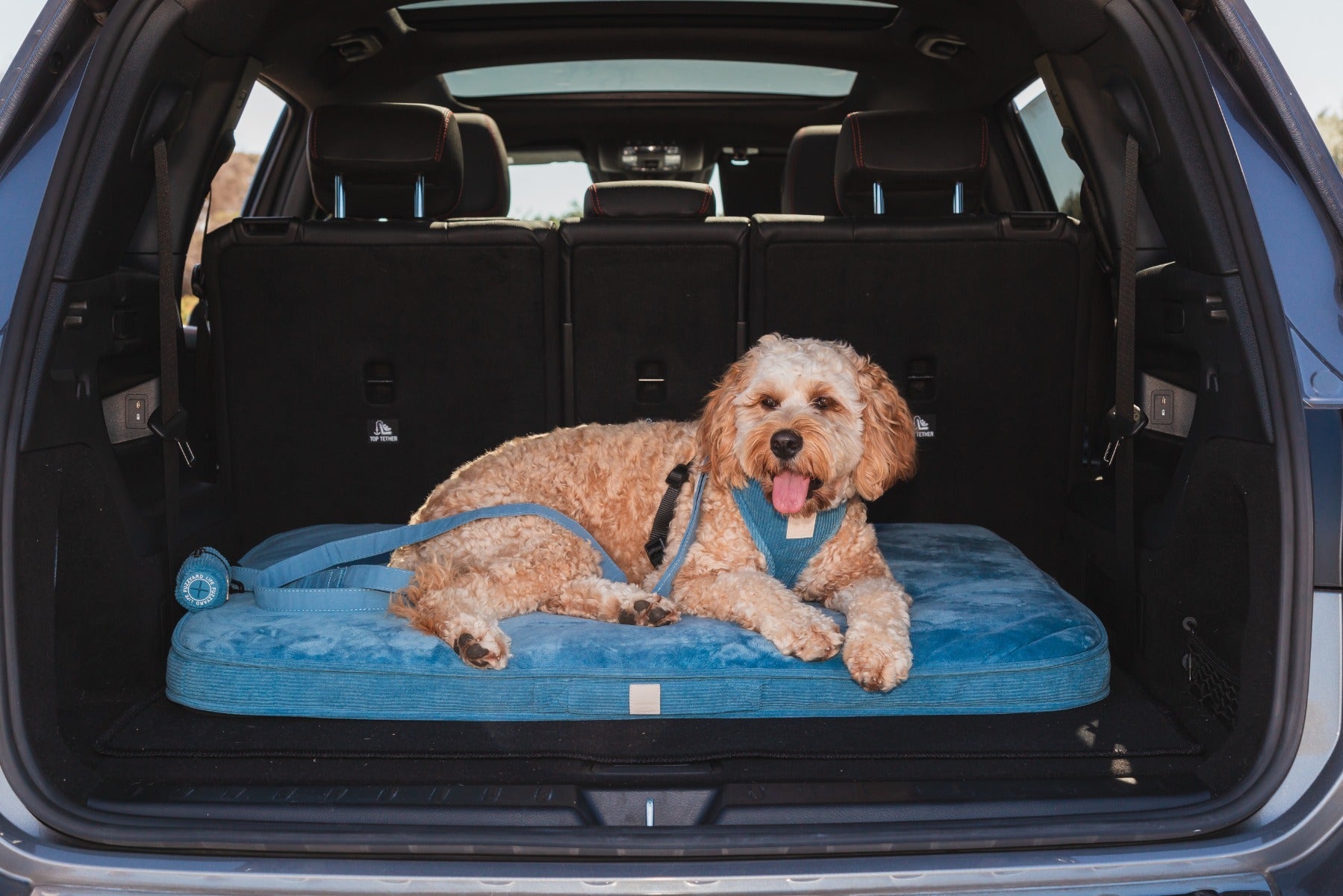 FuzzYard Life Lounge Mat- French Blue