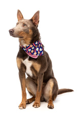 Dog Bandana - Bacon and Eggs by FuzzYard