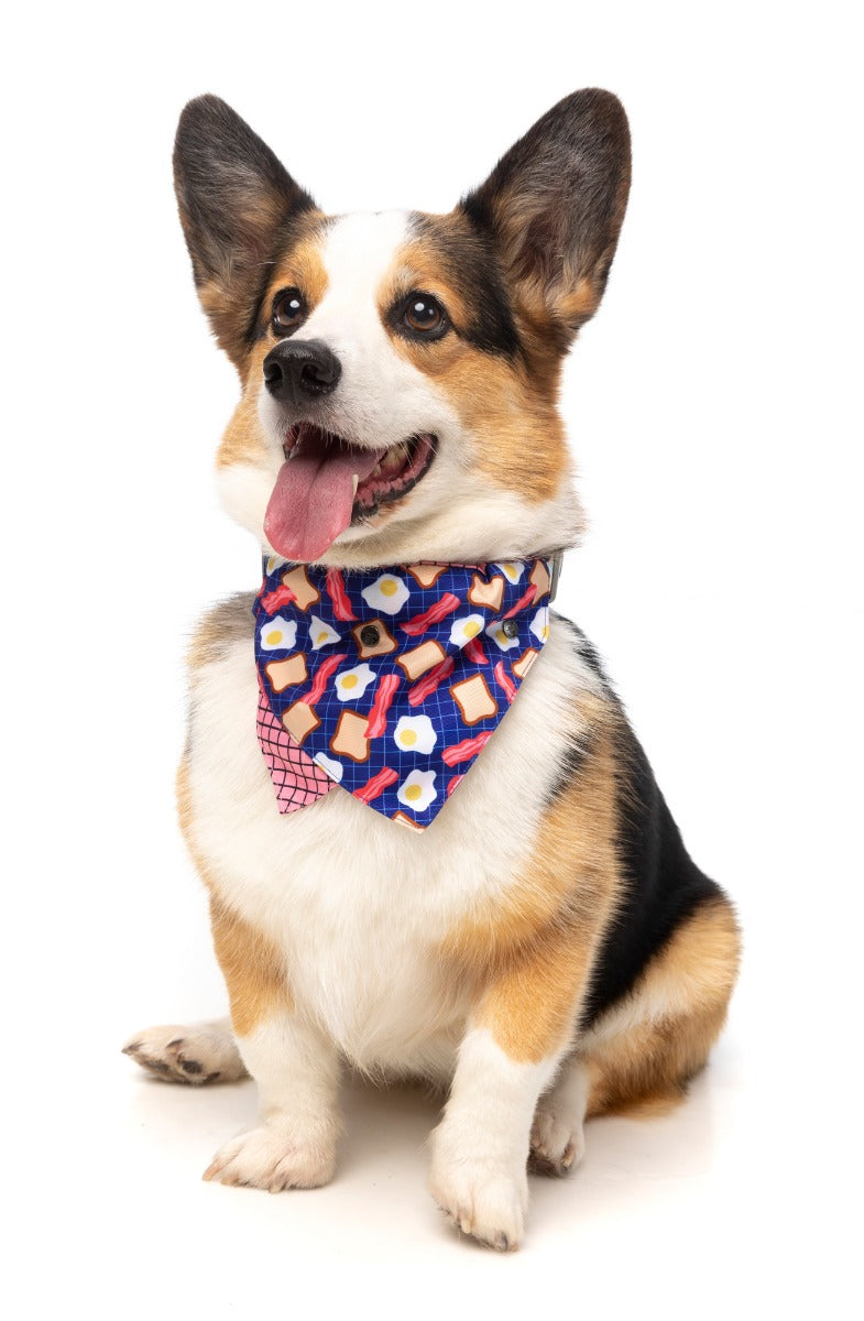 Dog Bandana - Bacon and Eggs by FuzzYard
