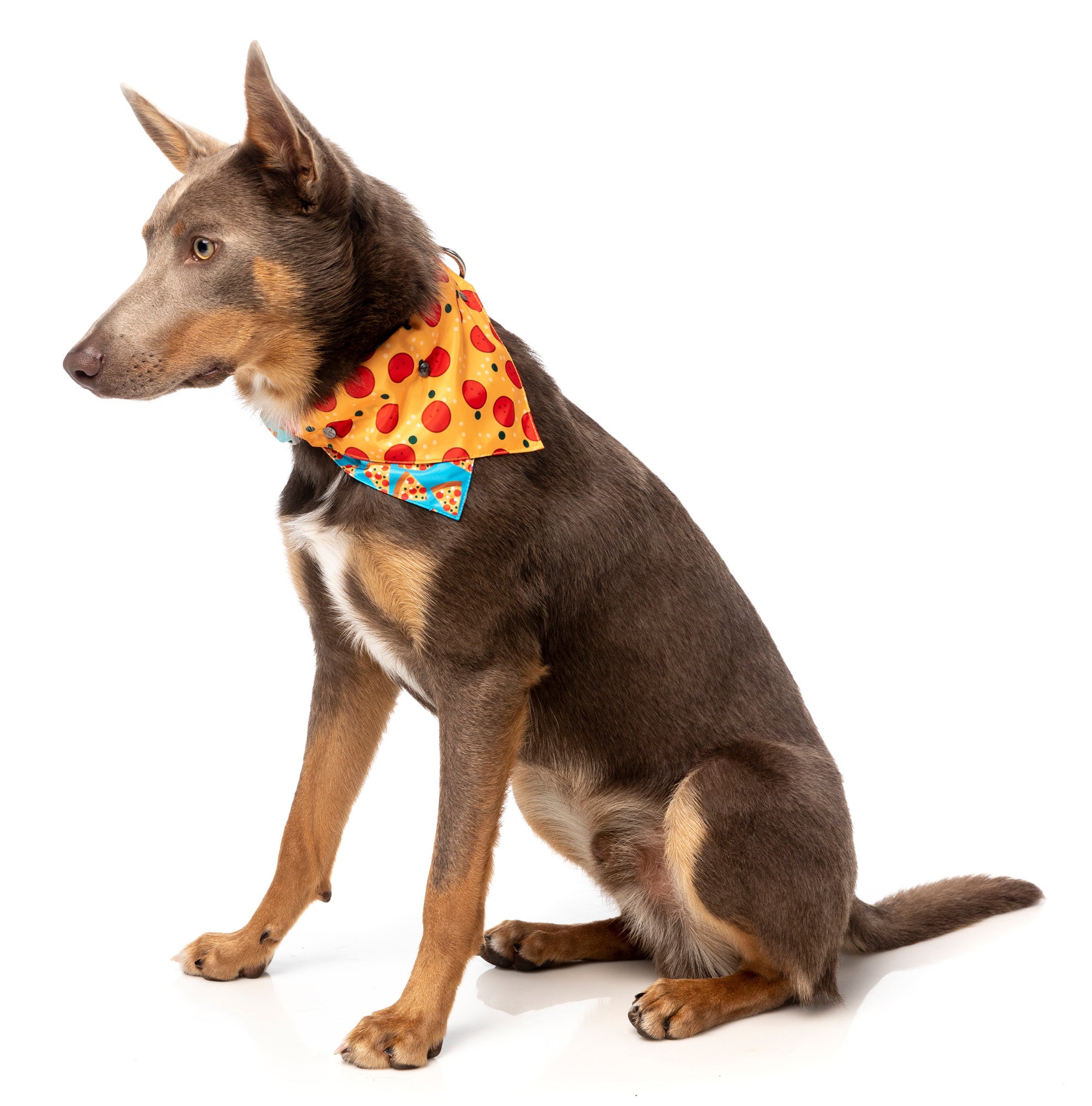 Pizza Lyf Bandana