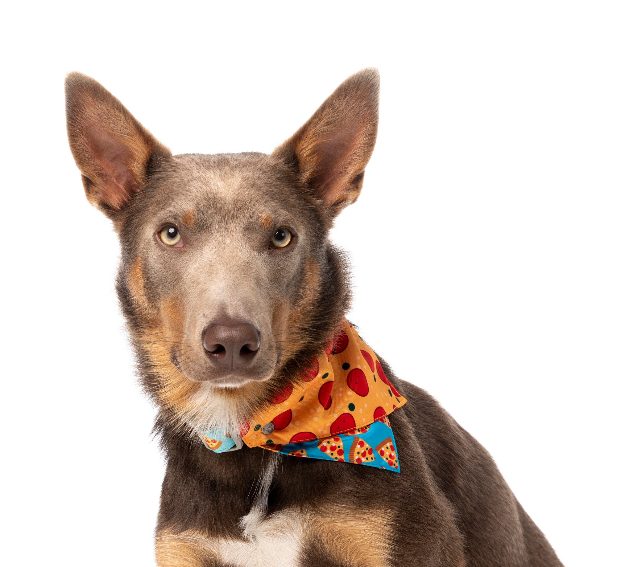 Pizza Lyf Bandana