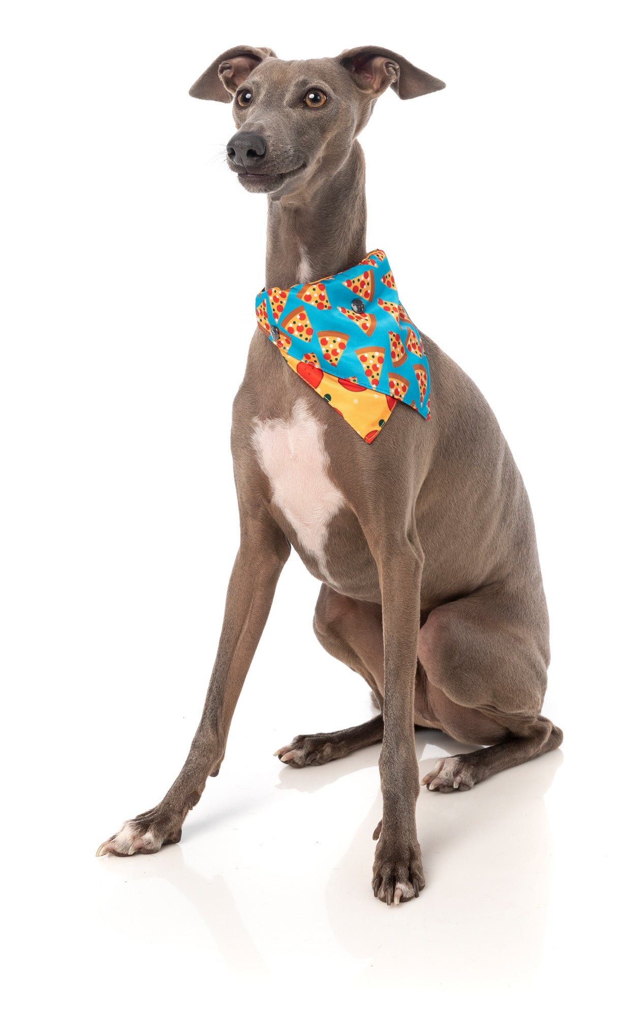 Pizza Lyf Bandana