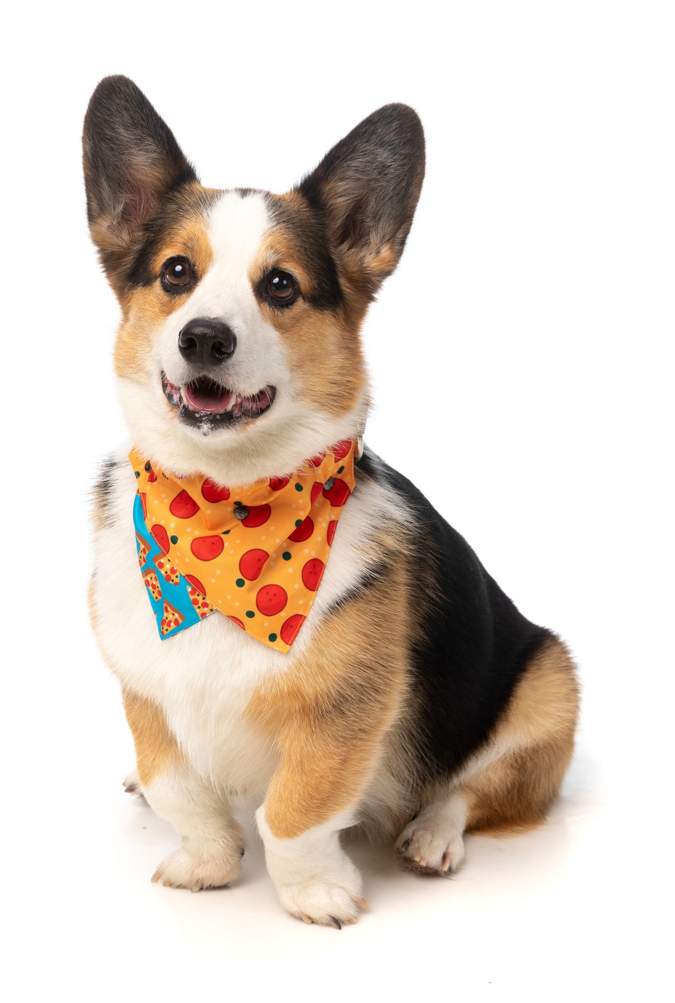 Pizza Lyf Bandana