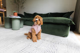 FuzzYard Life Corduroy Jacket - Soft Blush by FuzzYard Life