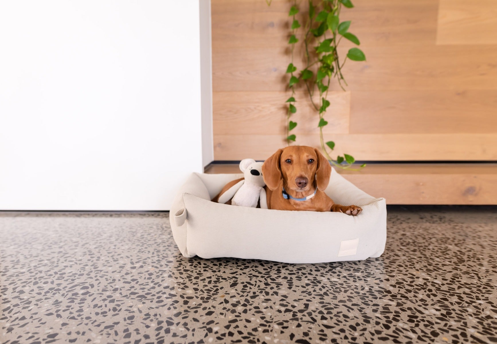 FuzzYard Life Pet Bed - Corduroy Bed - Sandstone