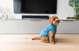 FuzzYard Life Corduroy Jacket - French Blue by FuzzYard Life