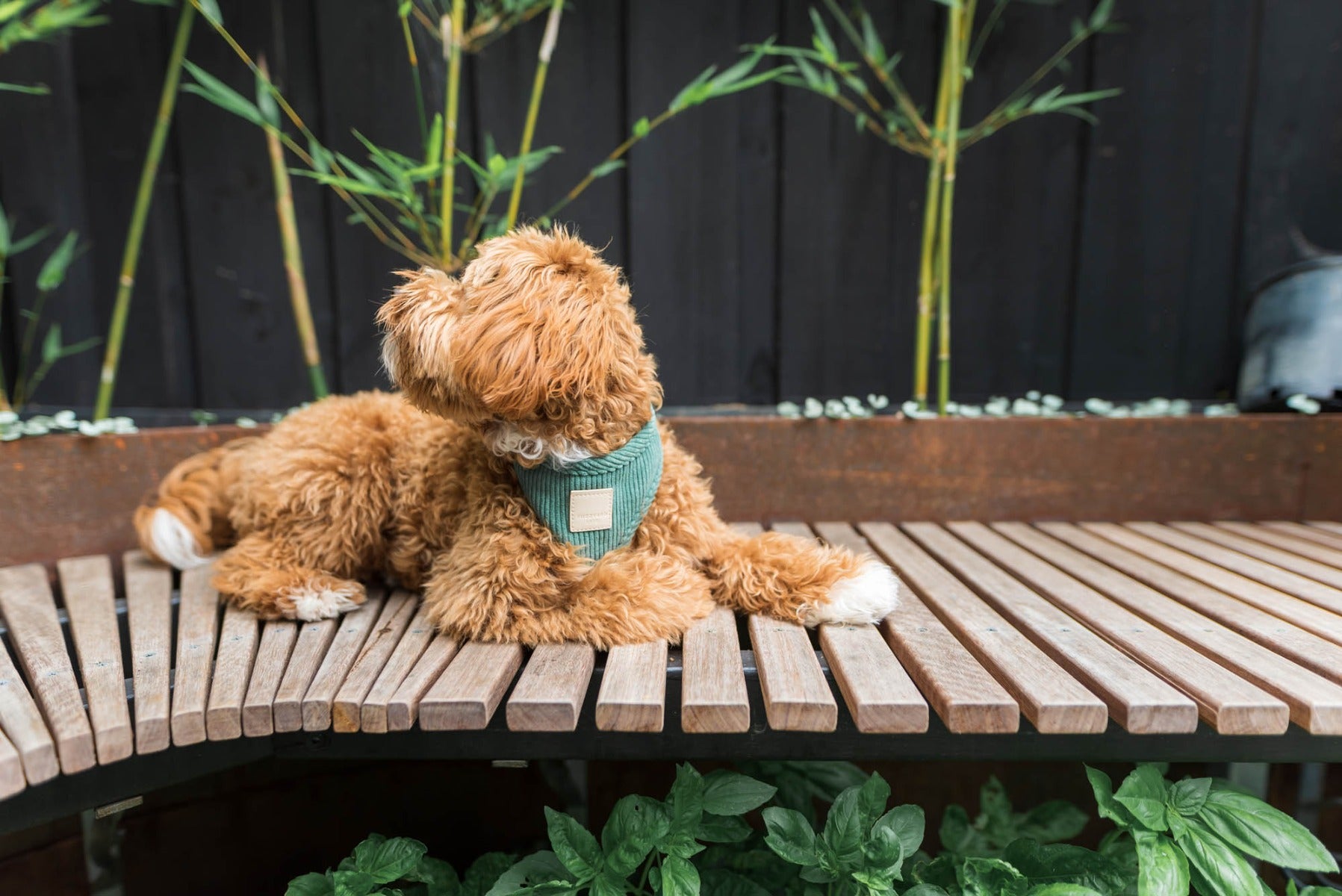Corduroy Harness - Myrtle Green by FuzzYard Life