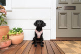 Corduroy Step In Harness - Soft Blush by FuzzYard Life