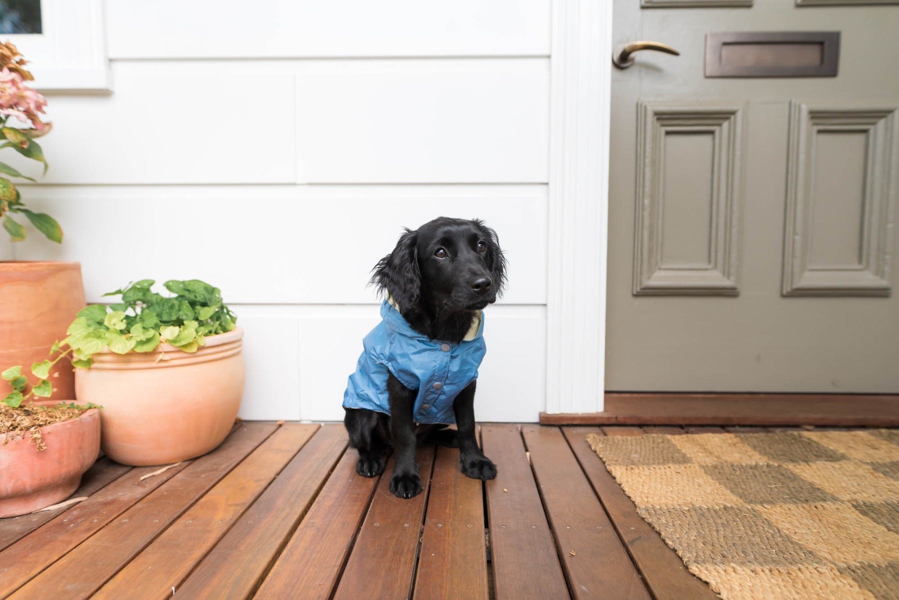 FuzzYard Life Raincoat - French Blue