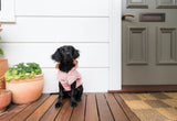 FuzzYard Life Raincoat - Soft Blush by FuzzYard Life