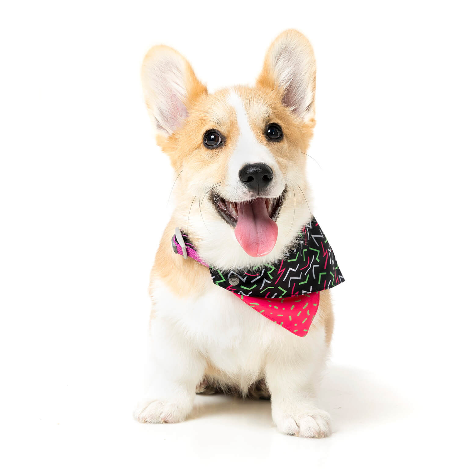 Juicy Pet Bandana
