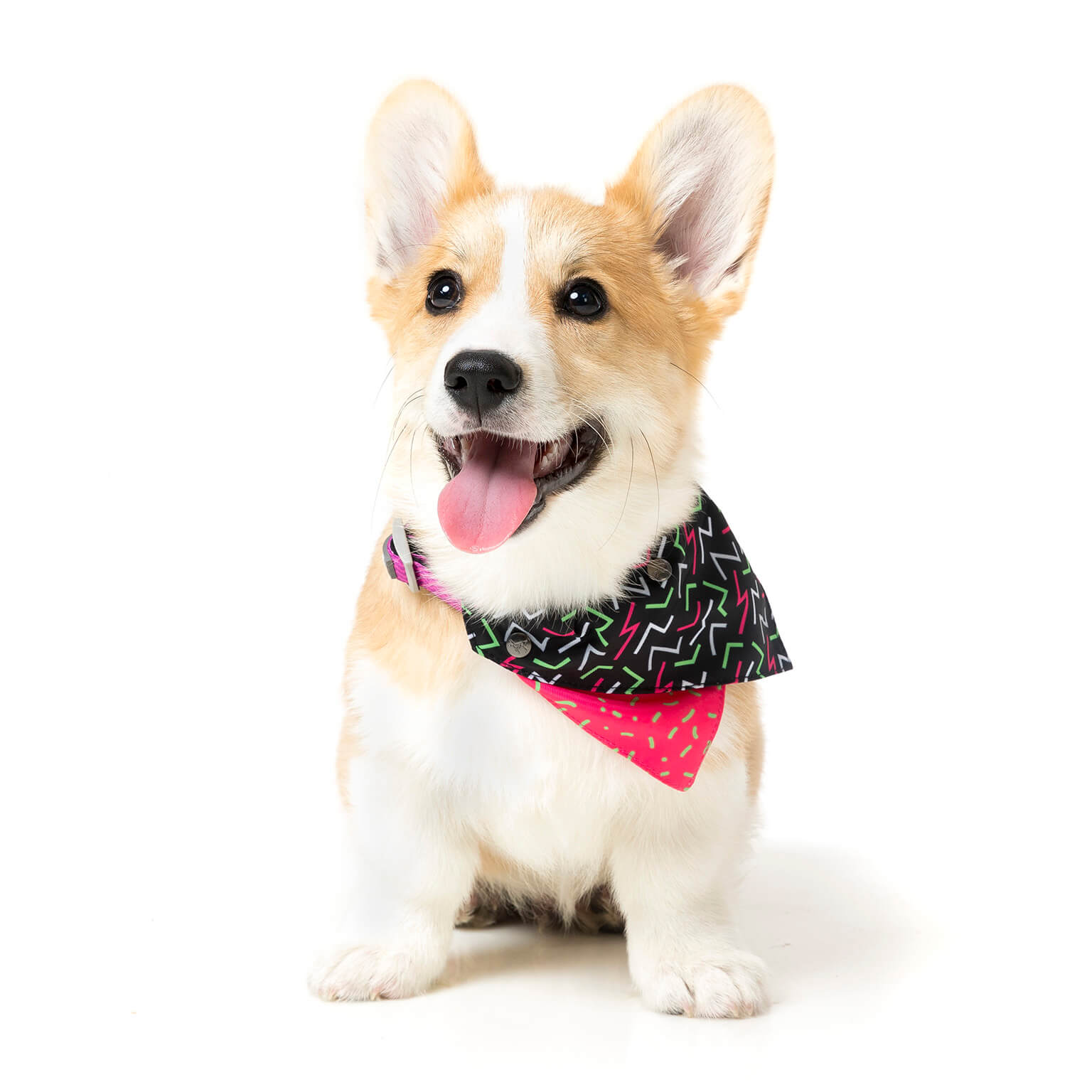 Juicy Pet Bandana