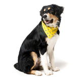 Monkey Mania Pet Bandana