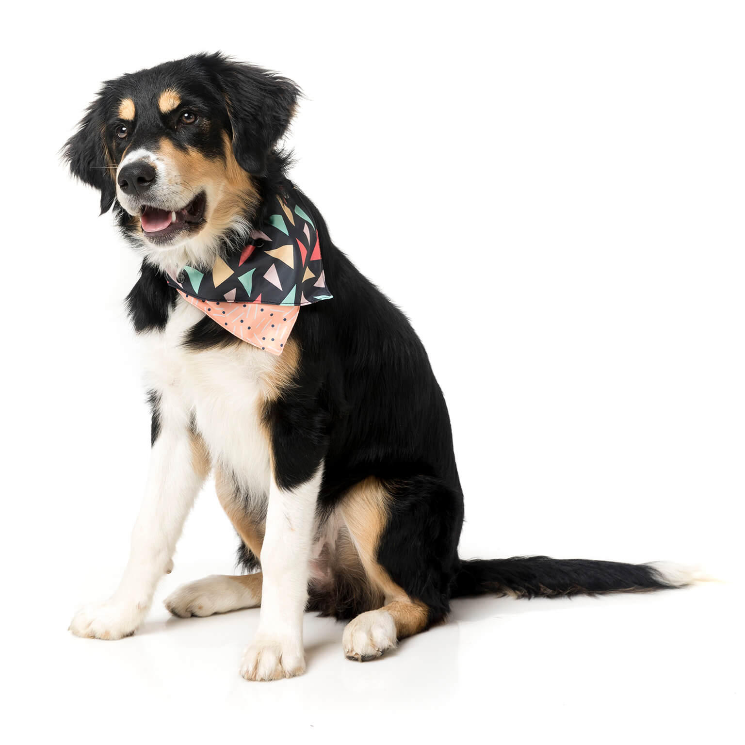 Rad Pet Bandana