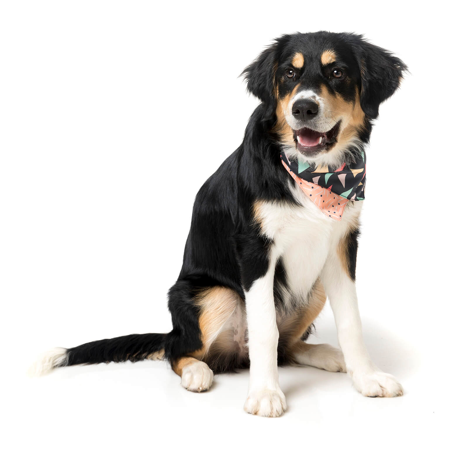 Rad Pet Bandana