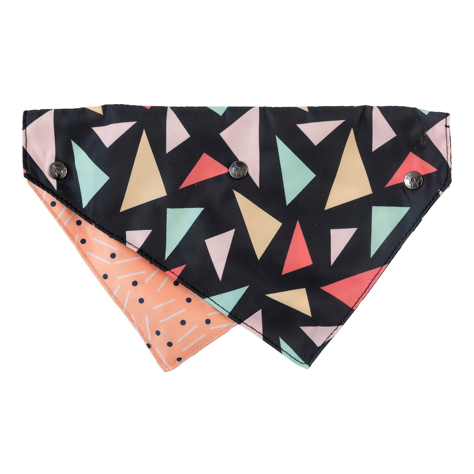 Rad Pet Bandana