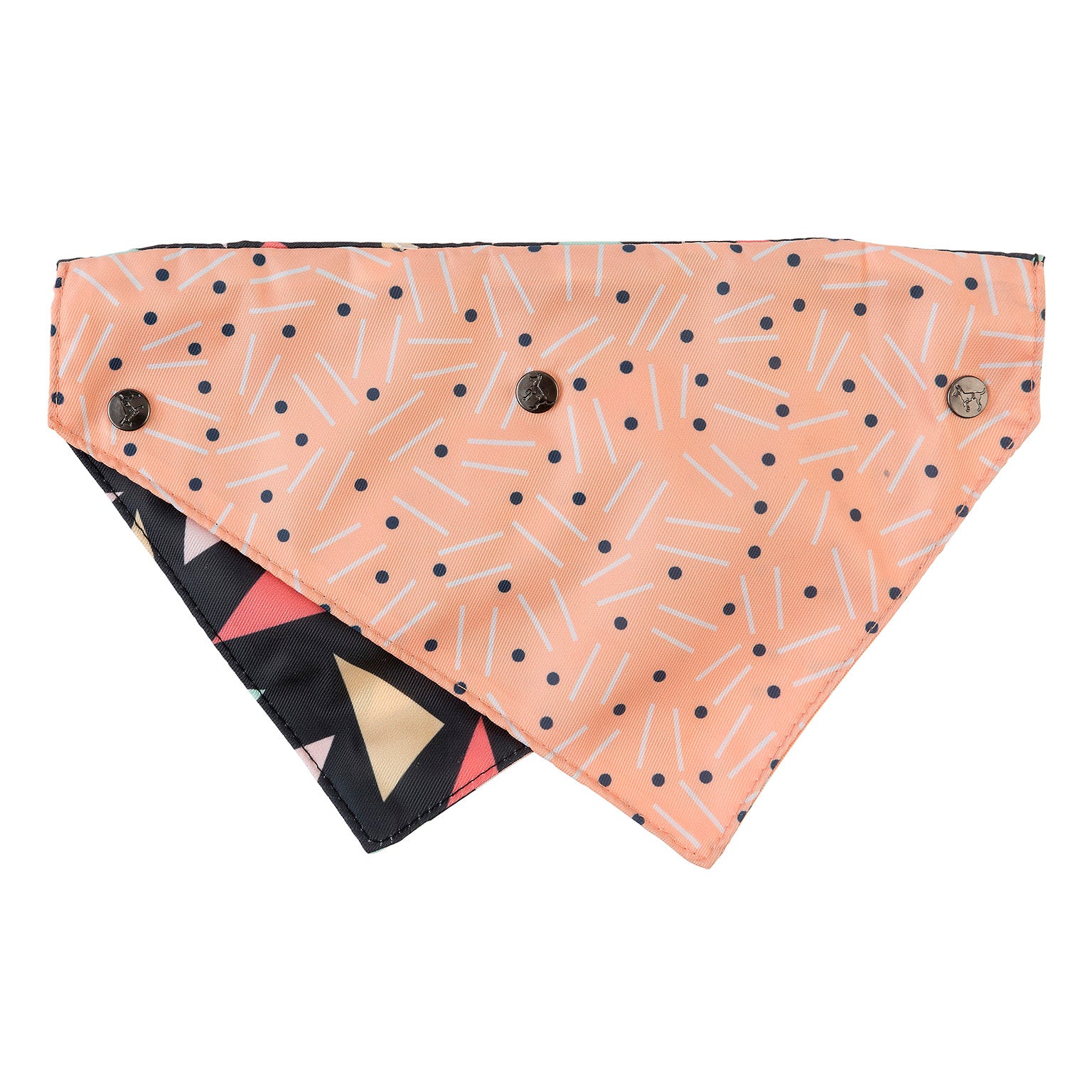 Rad Pet Bandana
