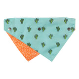 Tucson Pet Bandana