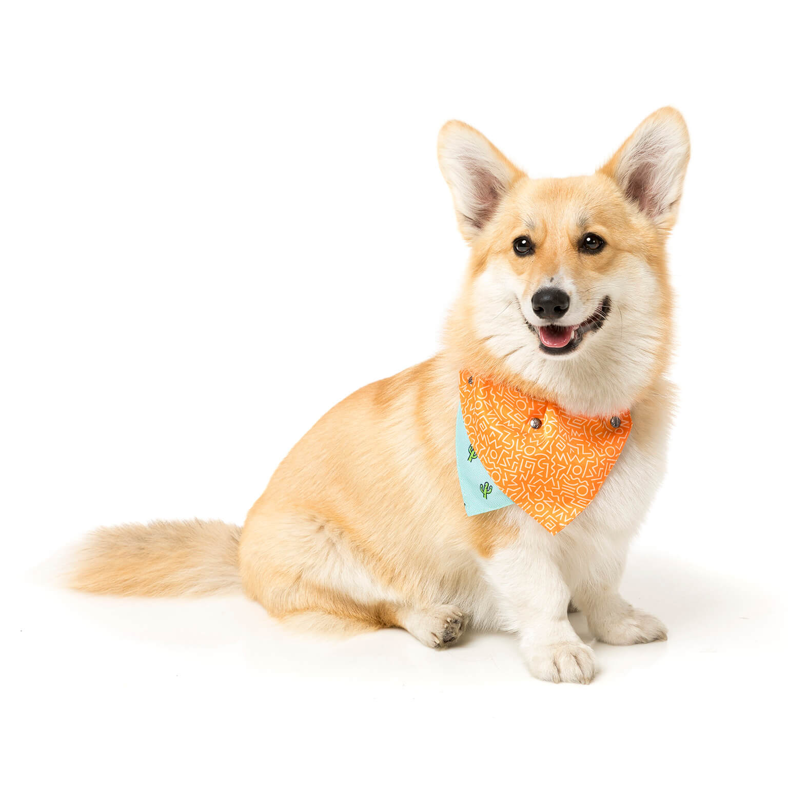 Tucson Pet Bandana